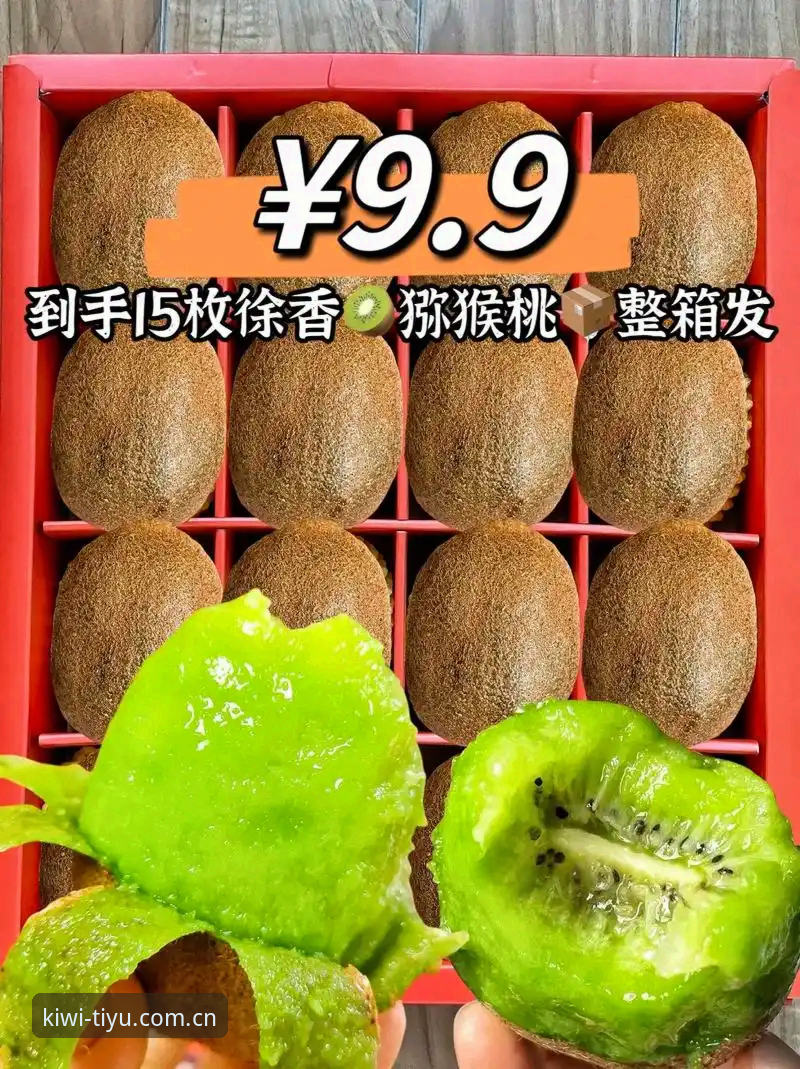 看球赛费眼又卡顿？中文版奇异果体育平台V4版与旧版体验对比
